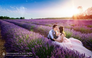 普羅旺斯(Provence)