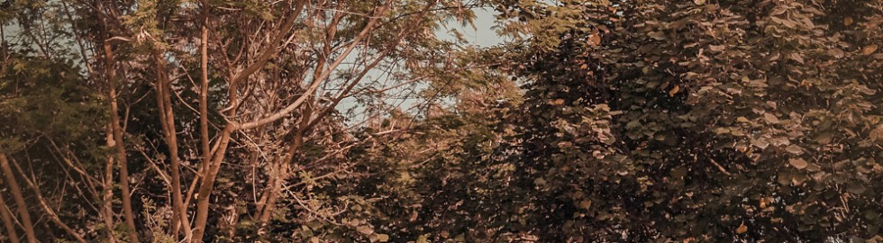 cn-hk-hong-kong-professional-photographer-pre-wedding-hongkong-香港-婚紗婚禮攝影-0305