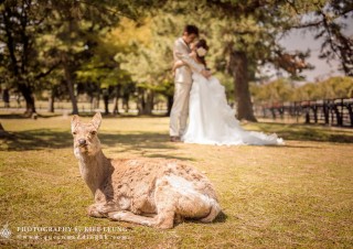 cn-hk-hong-kong-professional-photographer-pre-wedding-oversea-海外-婚紗婚禮攝影-0039