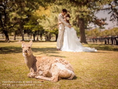 cn-hk-hong-kong-professional-photographer-pre-wedding-oversea-海外-婚紗婚禮攝影-0039