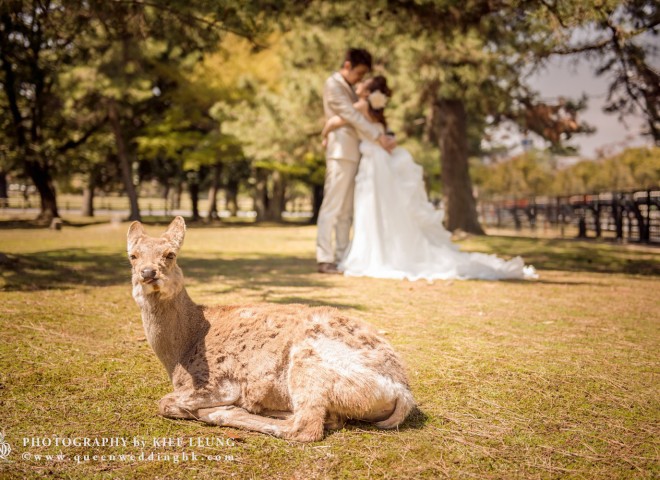 cn-hk-hong-kong-professional-photographer-pre-wedding-oversea-海外-婚紗婚禮攝影-0039