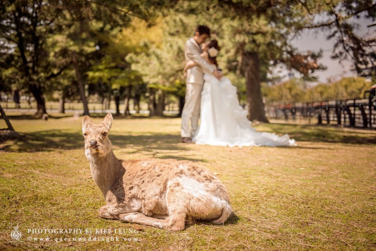 cn-hk-hong-kong-professional-photographer-pre-wedding-oversea-海外-婚紗婚禮攝影-0039