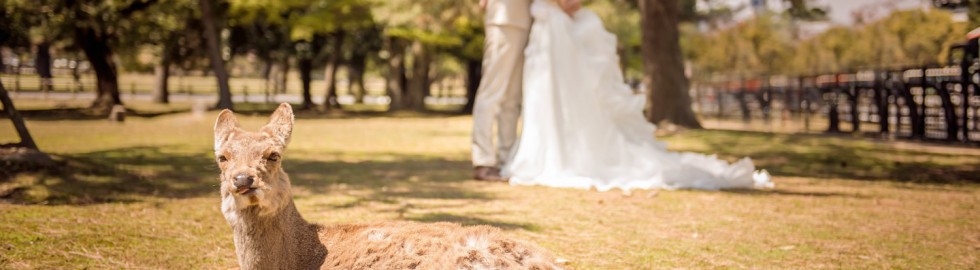 cn-hk-hong-kong-professional-photographer-pre-wedding-oversea-海外-婚紗婚禮攝影-0039